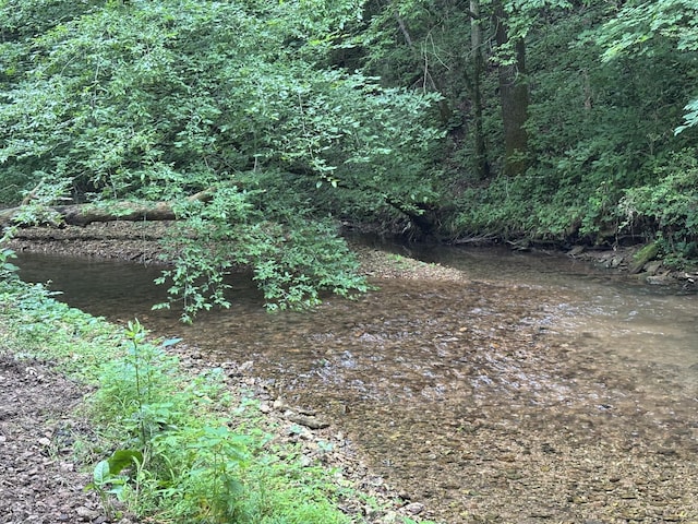 502 Twomey Rd, Centerville, TN 37033 - view of nature