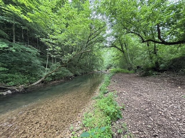 502 Twomey Rd, Centerville, TN 37033 - view of yard featuring a forest view