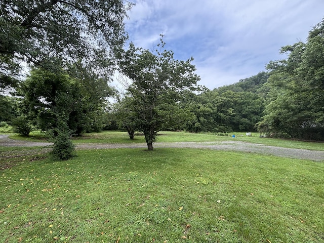 502 Twomey Rd, Centerville, TN 37033 - view of green lawn featuring a forest view