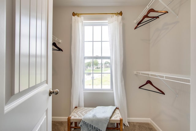 walk in closet featuring carpet flooring
