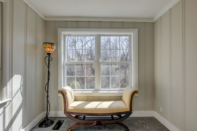 sitting room featuring a decorative wall, carpet flooring, and a healthy amount of sunlight