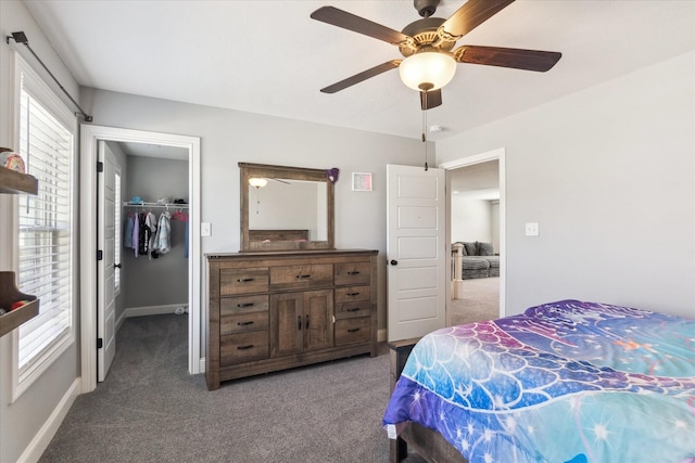 carpeted bedroom featuring a walk in closet, a ceiling fan, baseboards, and a closet