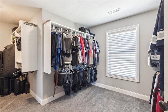 spacious closet with carpet flooring and visible vents