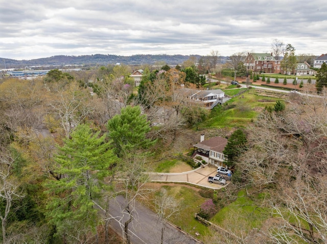 1608 Riverview Rd, Chattanooga, TN 37405 - birds eye view of property