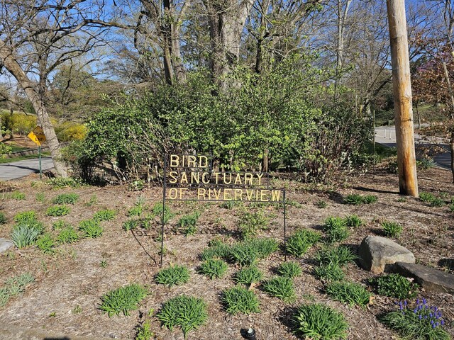 1608 Riverview Rd, Chattanooga, TN 37405 - view of yard