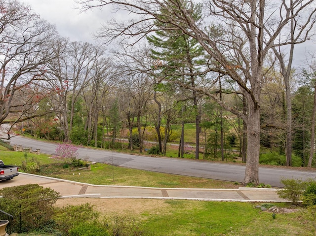 1608 Riverview Rd, Chattanooga, TN 37405 - view of road