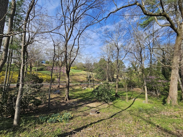 1608 Riverview Rd, Chattanooga, TN 37405 - view of yard