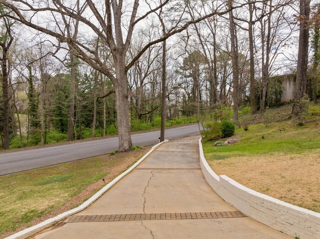 1608 Riverview Rd, Chattanooga, TN 37405 - view of street