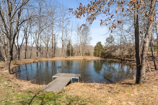 1772 Lockertsville Rd, Ashland City, TN 37015 - photo 64