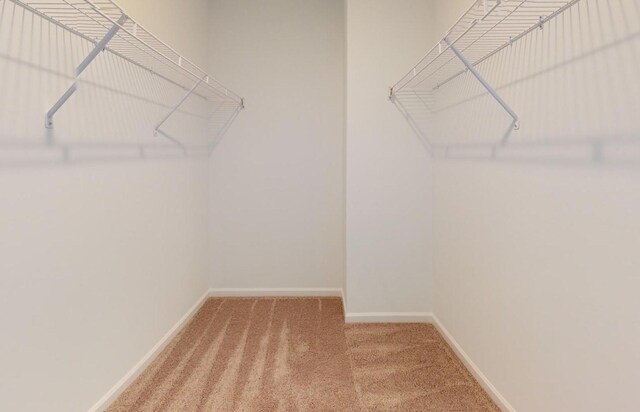457 Jet Stream Dr, La Vergne, TN 37086 - photo 13