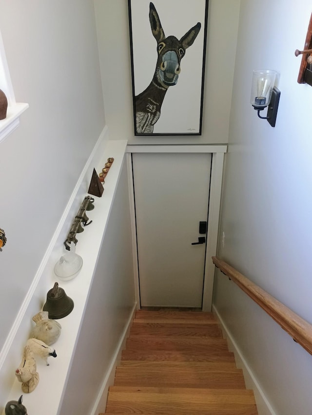 stairs featuring wood finished floors