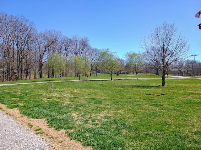 view of property's community featuring a yard