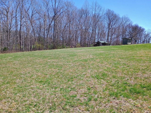 view of yard featuring an outdoor structure and a barn