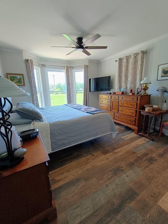 7863 Crow Cut Rd, Fairview, TN 37062 - photo 35