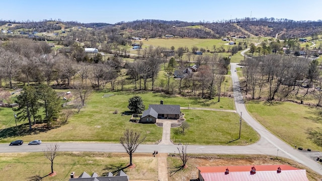 1106 Roseland Dr, Columbia, TN 38401 - birds eye view of property