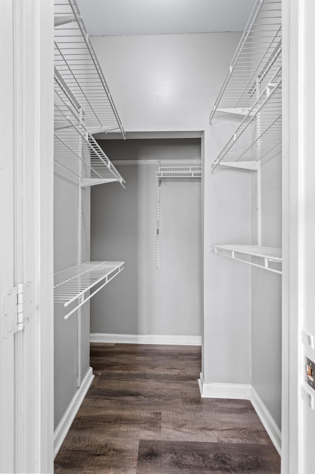spacious closet with wood finished floors