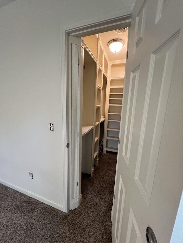 spacious closet with dark carpet
