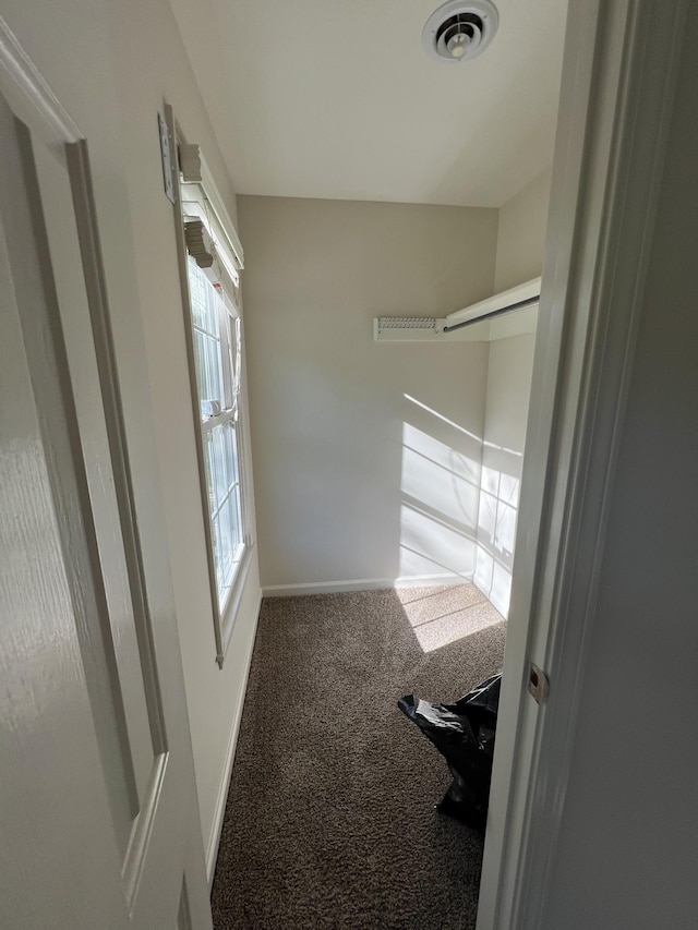 walk in closet featuring visible vents and carpet