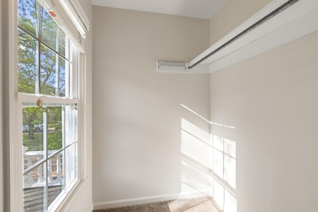 spacious closet featuring carpet