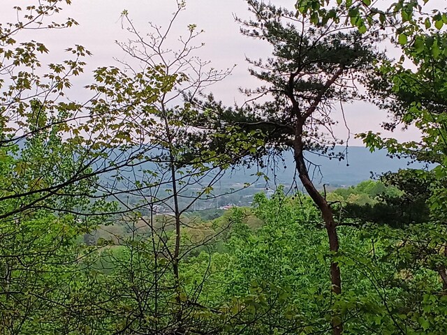 0 Sr 30, Pikeville, TN 37367 - photo 36