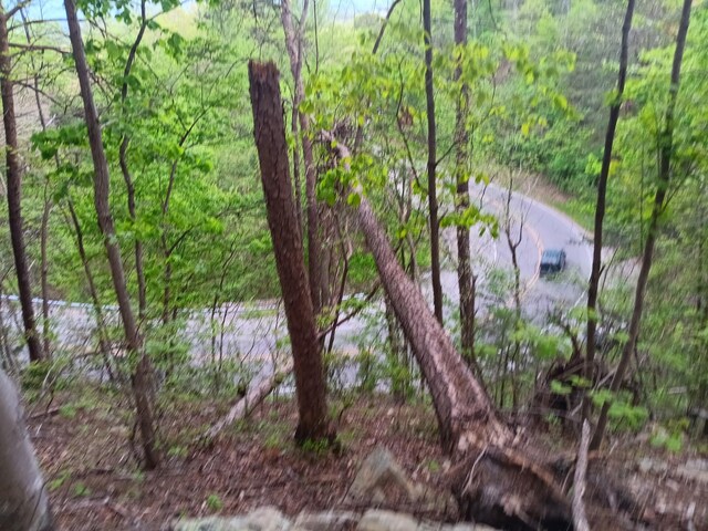 0 Sr 30, Pikeville, TN 37367 - photo 43