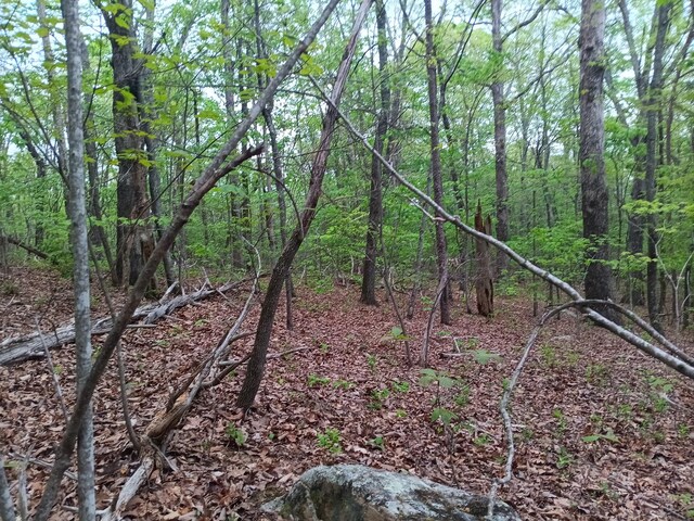 0 Sr 30, Pikeville, TN 37367 - photo 22