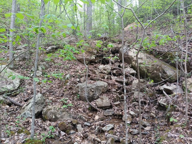 0 Sr 30, Pikeville, TN 37367 - photo 44