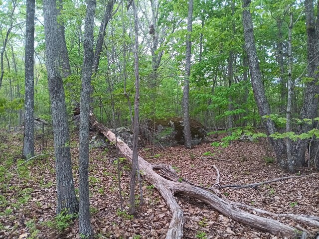 0 Sr 30, Pikeville, TN 37367 - photo 29