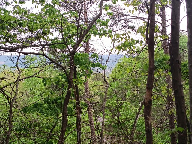 0 Sr 30, Pikeville, TN 37367 - photo 42