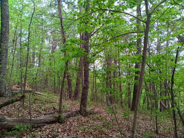 0 Sr 30, Pikeville, TN 37367 - photo 40