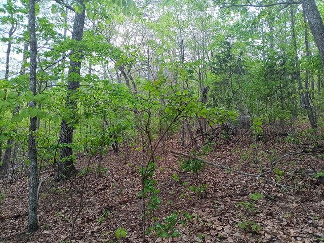 0 Sr 30, Pikeville, TN 37367 - photo 35