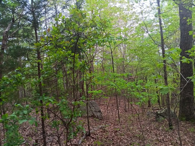 0 Sr 30, Pikeville, TN 37367 - photo 34