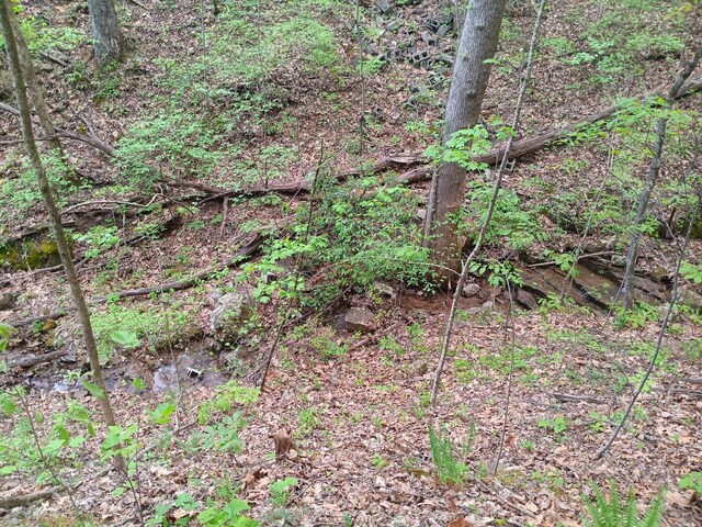 0 Sr 30, Pikeville, TN 37367 - photo 45