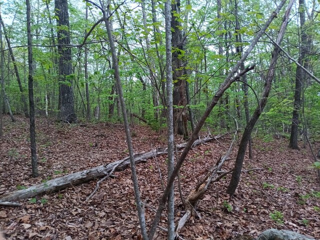 0 Sr 30, Pikeville, TN 37367 - photo 21