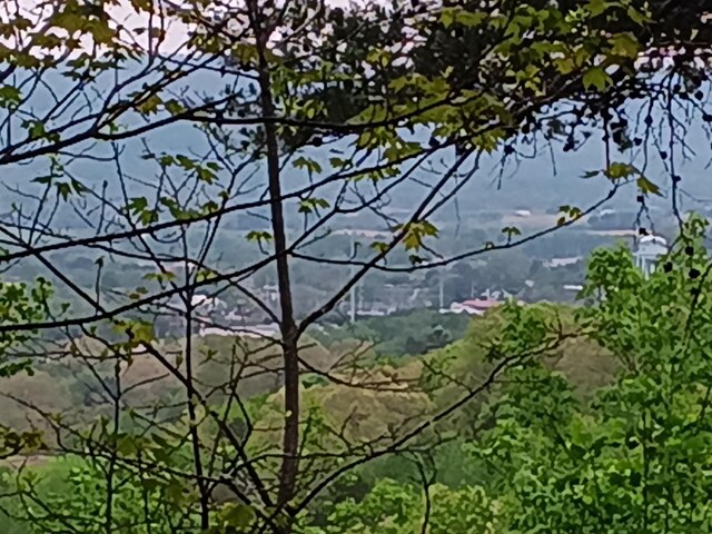0 Sr 30, Pikeville, TN 37367 - photo 37