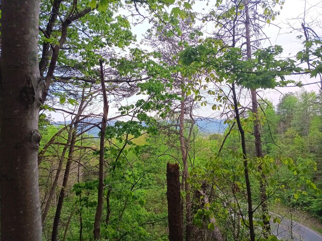 0 Sr 30, Pikeville, TN 37367 - photo 2