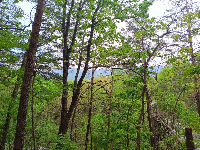 0 Sr 30, Pikeville, TN 37367 - photo 41