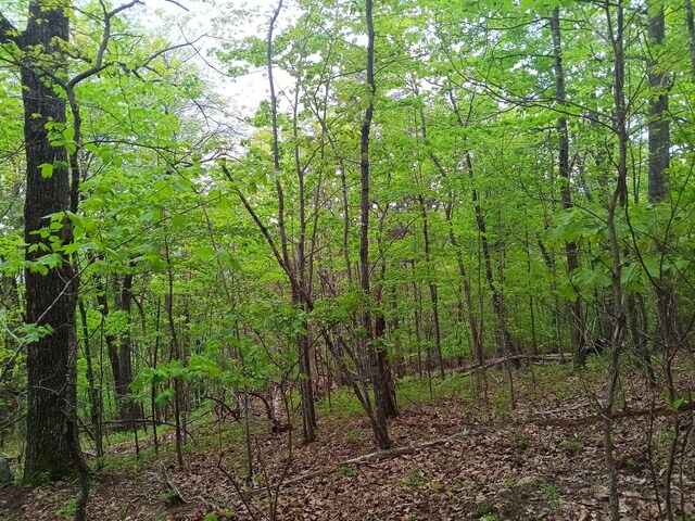 0 Sr 30, Pikeville, TN 37367 - photo 3