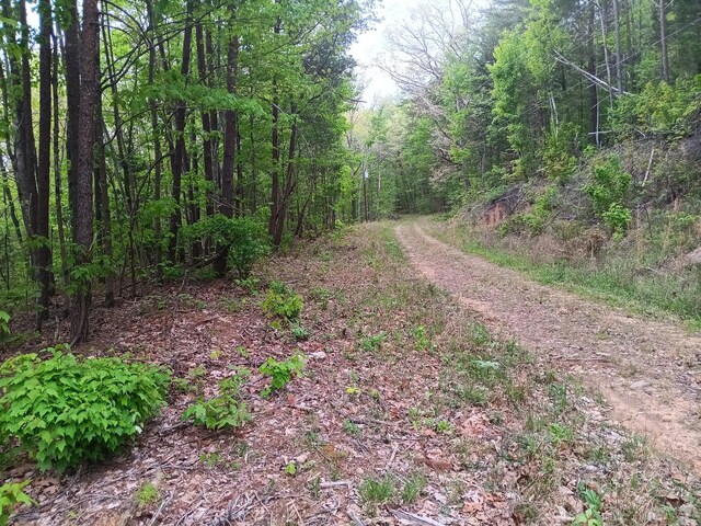 0 Sr 30, Pikeville, TN 37367 - photo 7