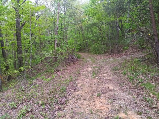 0 Sr 30, Pikeville, TN 37367 - photo 6