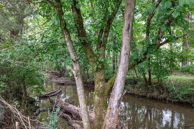 view of landscape featuring a wooded view and a water view