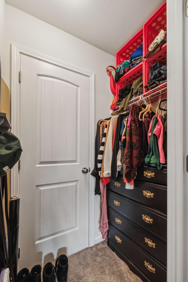 923 Long Train Aly, Antioch, TN 37013 - walk in closet featuring carpet flooring