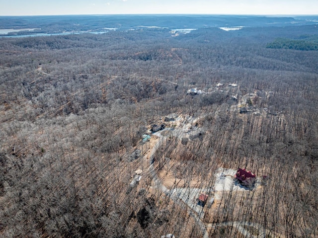 576 Ridgeway Dr, Sugar Tree, TN 38380 - bird's eye view featuring a wooded view