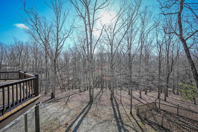 576 Ridgeway Dr, Sugar Tree, TN 38380 - view of yard