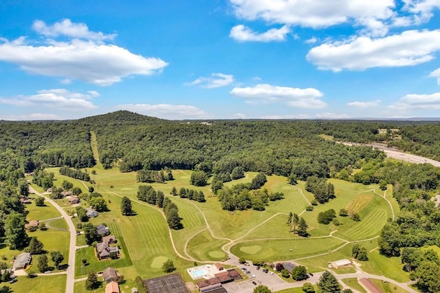 1411 Lakeview Rd, Livingston, TN 38570 - photo 33