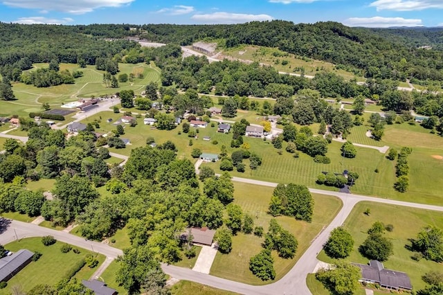 1411 Lakeview Rd, Livingston, TN 38570 - photo 35