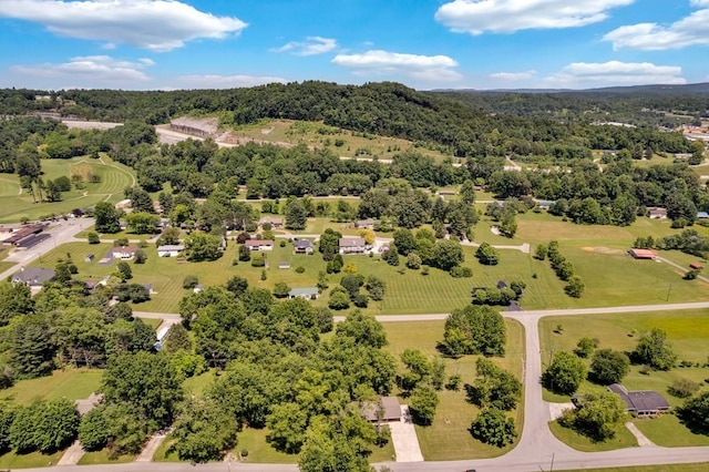 1411 Lakeview Rd, Livingston, TN 38570 - photo 36