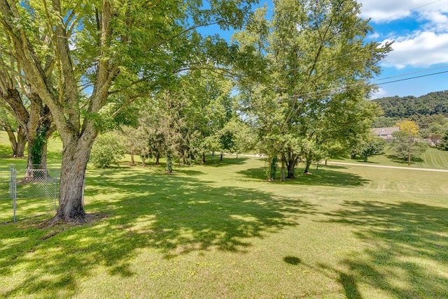1411 Lakeview Rd, Livingston, TN 38570 - photo 37