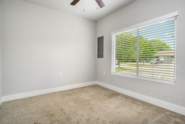 163 Bell Rd Unit 18, Nashville, TN 37217 - photo 17