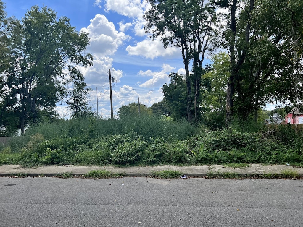 119 Green St, Nashville, TN 37210 - photo 2